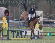 Le June Once TosTour 2013- S5 7797 : Arezzo Equestrian Centre, Le Jeune Philippe, Once de Kreisker, Toscana Tour 2013, foto di Stefano Secchi ©